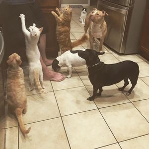 Meet your Posher, Tish